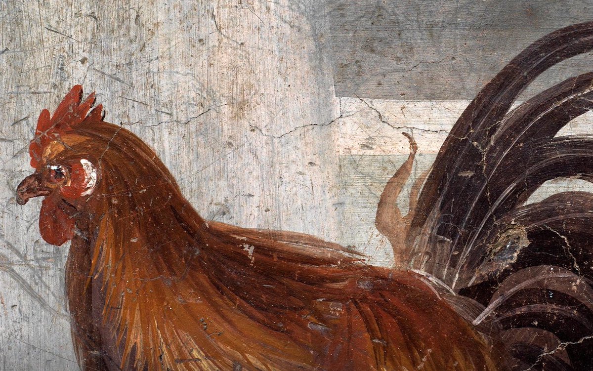 Other views of Pompeii “street food” shop recently uncovered by archaeologists after being buried by volcano in 79 AD. via  @reuters.  https://www.reuters.com/article/italy-pompeii/archaeologists-uncover-ancient-street-food-shop-in-pompeii-idUSKBN2900D3