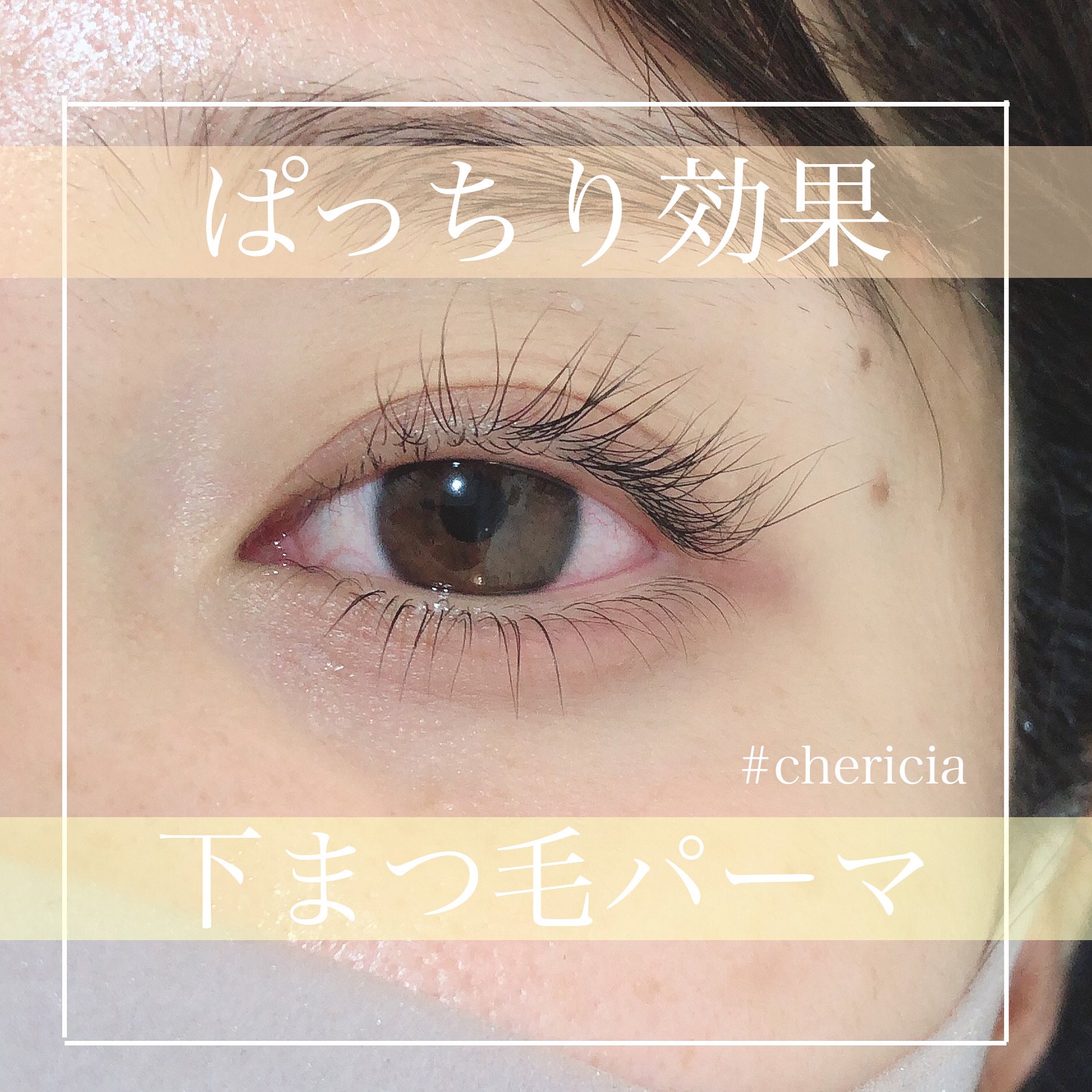 ナガイ サヤナ 滋賀 守山 まつ毛パーマ マツエク Ar Twitter 下まつ毛パーマは滋賀県では まだまだマイナーですが 印象めっちゃ変わるので 凄くおすすめ 逆まつ毛の方もぜひ 滋賀マツエク 滋賀まつ毛パーマ マツエク まつ毛パーマ カラーラッシュ バインド ナガイ サヤナ 滋賀 守山 まつ毛パーマ マツエク Ar Twitter 下まつ毛パーマは滋賀県では まだまだマイナーですが 印象めっちゃ変わるので 凄くおすすめ 逆まつ毛の方もぜひ 滋賀マツエク 滋賀まつ毛パーマ マツエク まつ毛パーマ カラーラッシュ バインド