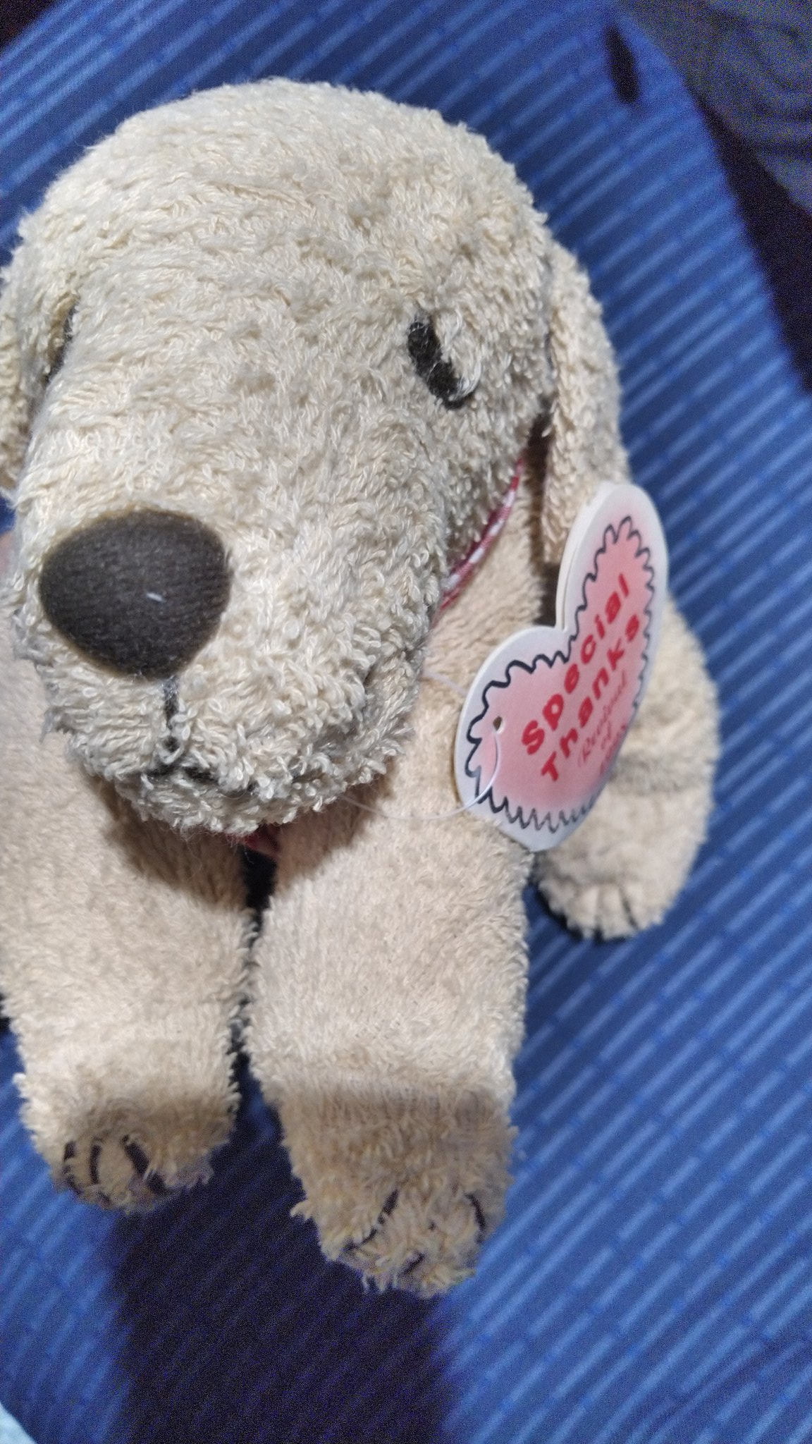 تويتر のぼるん على تويتر このレトリバーのぬいぐるみ 可愛すぎるからまた復刻して欲しい Ikeaの犬みたくクタクタな感じが良い 大きさも40cm程で値段も手頃だった クリエイティブヨーコ マザーグースの森 で購入 家で飼ってた犬はぬいぐるみのワタを出して