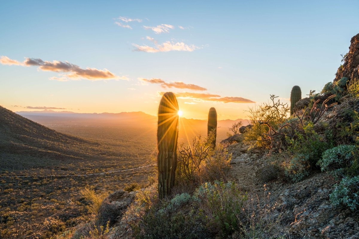 Saguaro National Park, Arizona