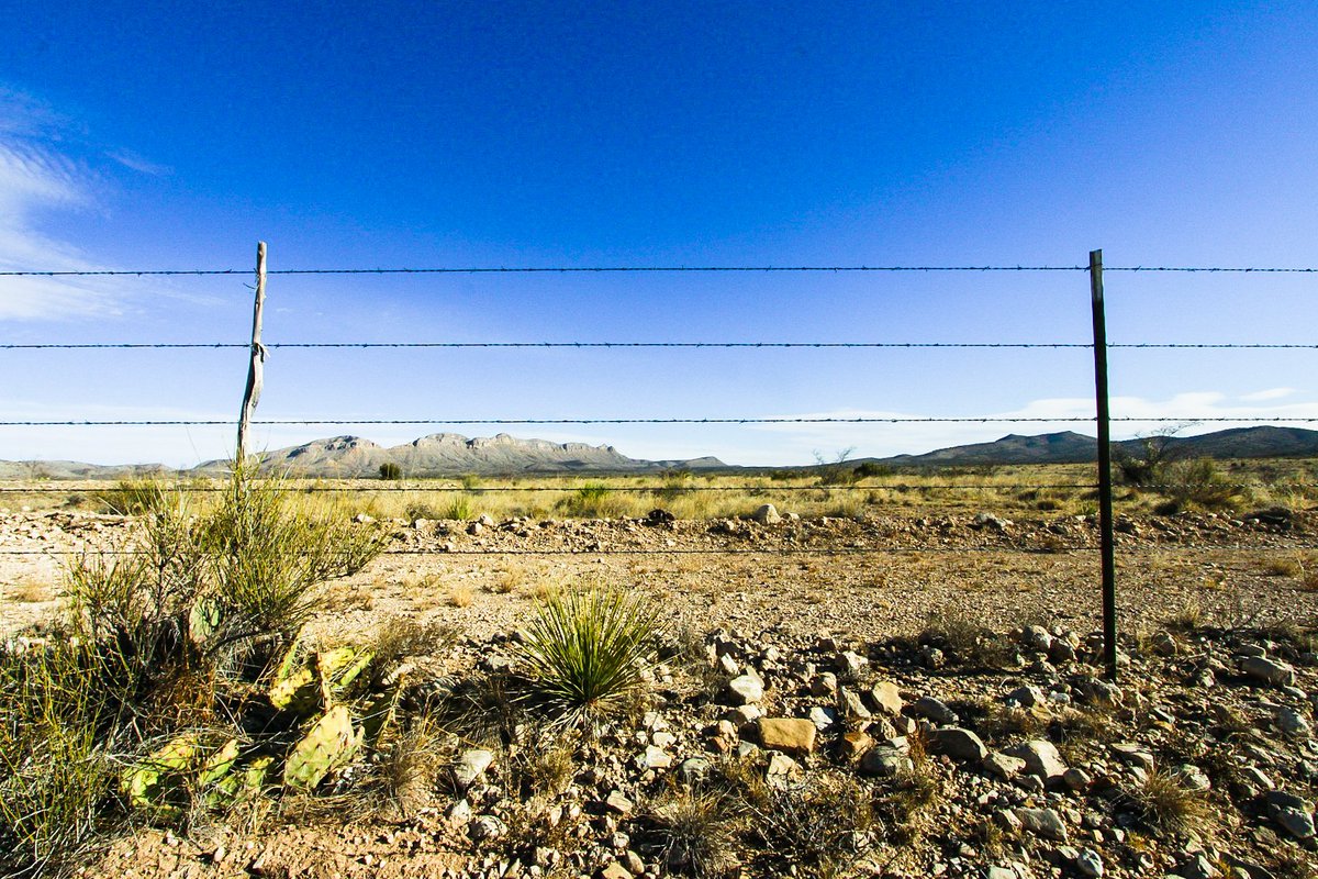 but was perhaps the greatest of them all, for its majesty, longevity, steadfastness, nonchalance. . I thought of the yucca as I got near where it once stood, and decided to stop and do a sort of remake of the first foto, (7/11)