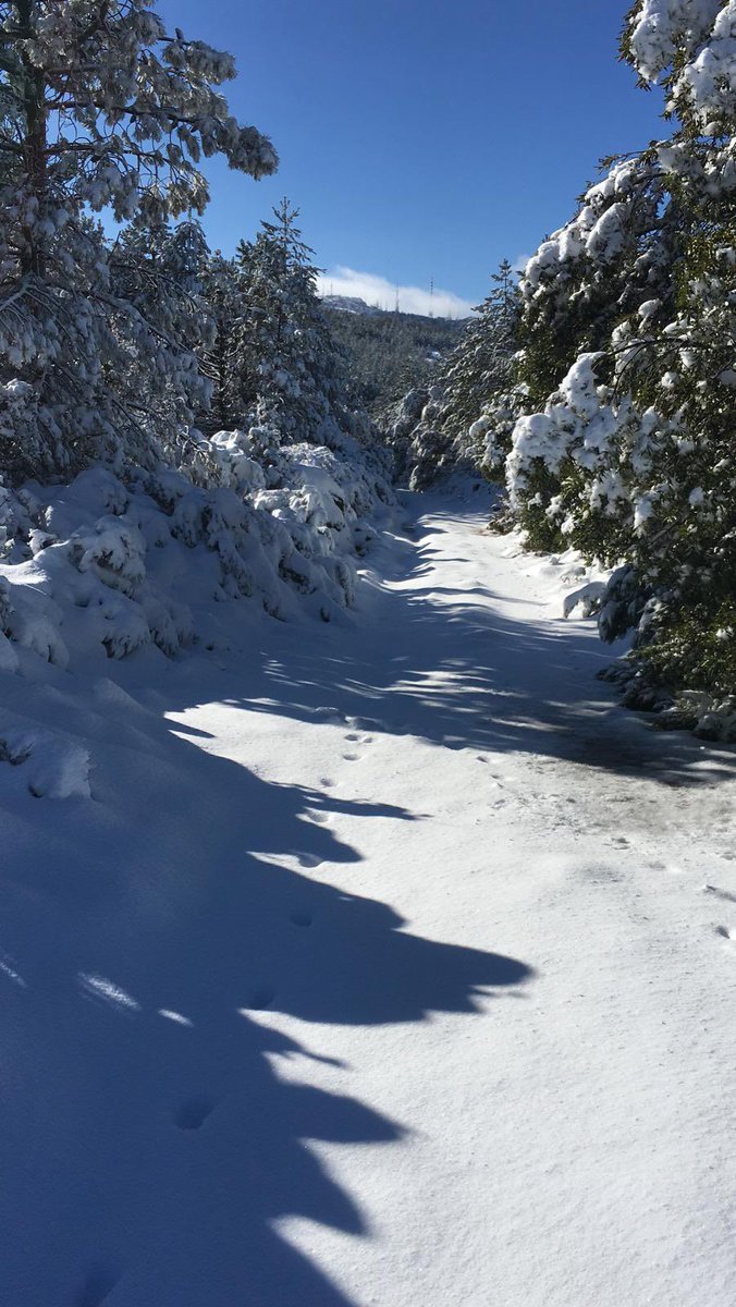 LiveInSardinia's tweet photo. Lovely Hike In Snowy Limbara Mount
#LiveInSardinia
#Сардиния
#Sardaigne
#Sardinien
#VisitSardinia
#サルディニア
#撒丁岛
#Cerdeña
#traveldestination https://t.co/m7Iw9C6WKK
