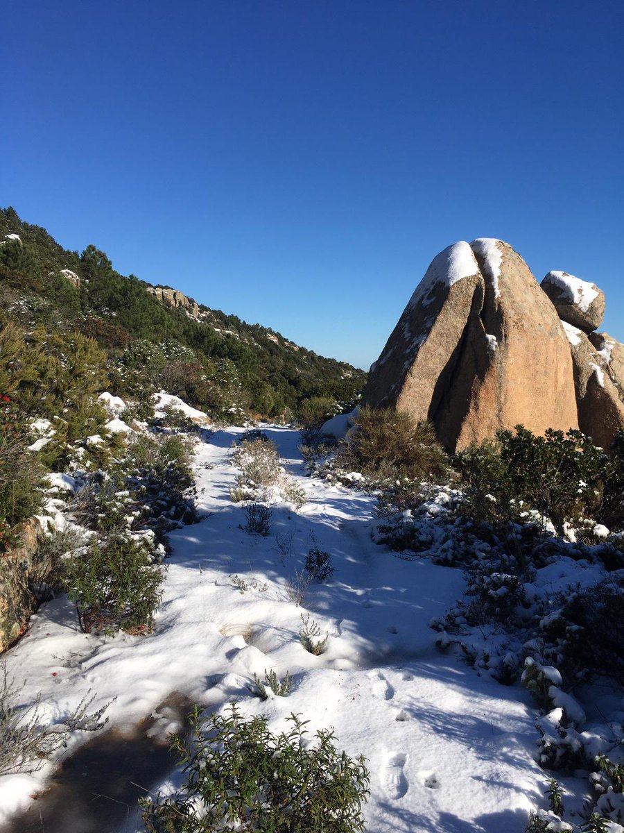 LiveInSardinia's tweet photo. Lovely Hike In Snowy Limbara Mount
#LiveInSardinia
#Сардиния
#Sardaigne
#Sardinien
#VisitSardinia
#サルディニア
#撒丁岛
#Cerdeña
#traveldestination https://t.co/m7Iw9C6WKK