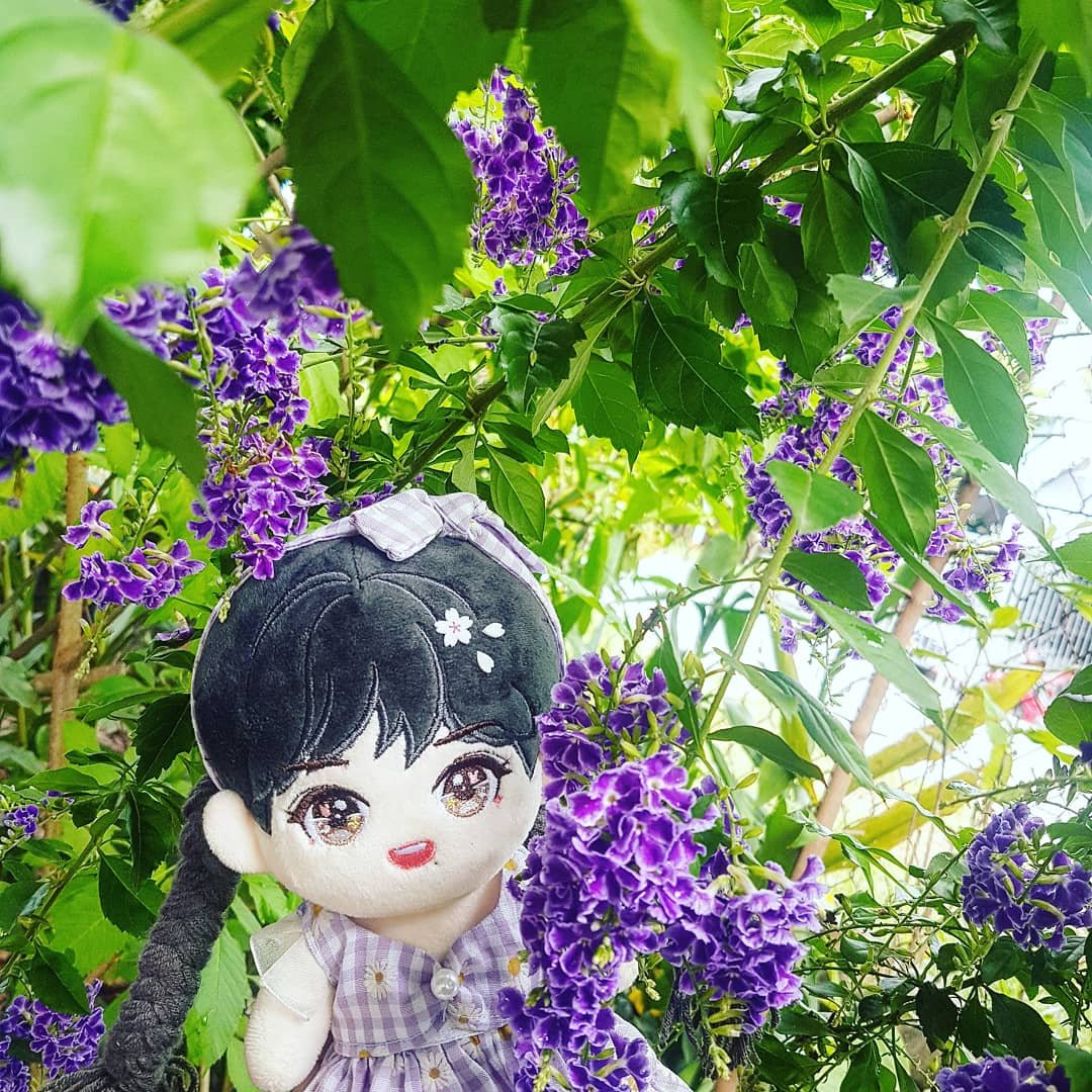 jaebysaranghae1's tweet photo. #Xiaozhandoll
#XiaoZhan
#BJYXSZD 
#BJYXdoll https://t.co/Ss5gY1zaKX