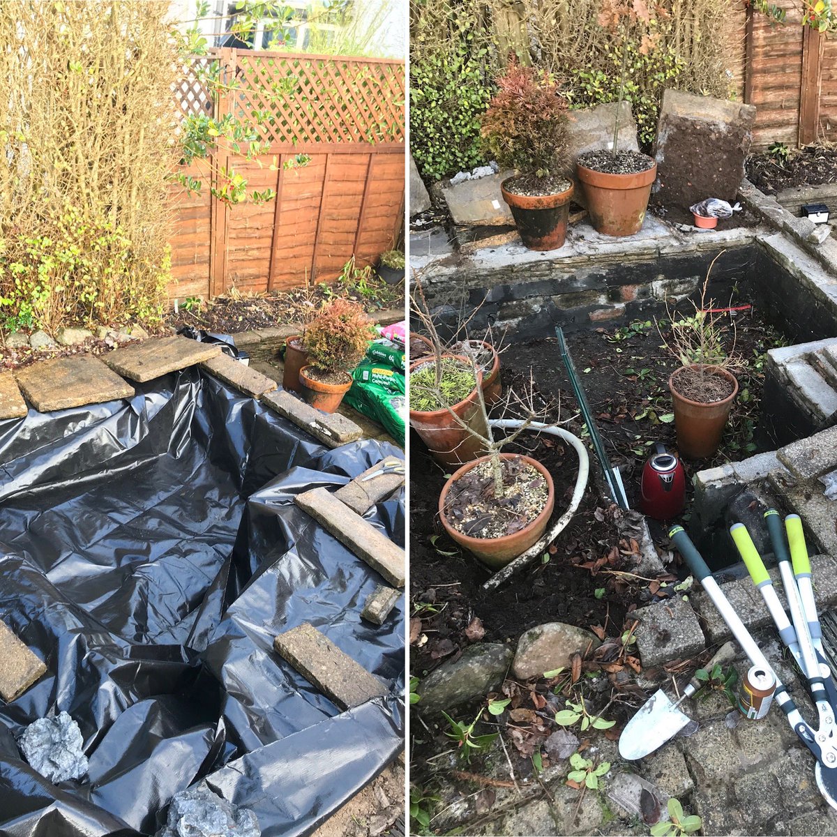 86_plot's tweet photo. No garden is complete without a wildlife pond! #wildlifepond #ponds #newts #frogs #toads #gardening https://t.co/rB5uxL3R8V