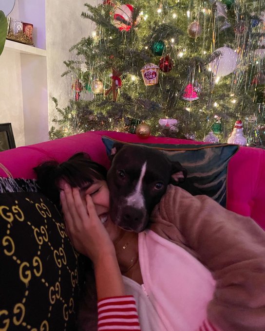 instead of facetuning and posting rly stylized stuff on IG i&rsquo;ve pivoted to photo posts like this :) https://t