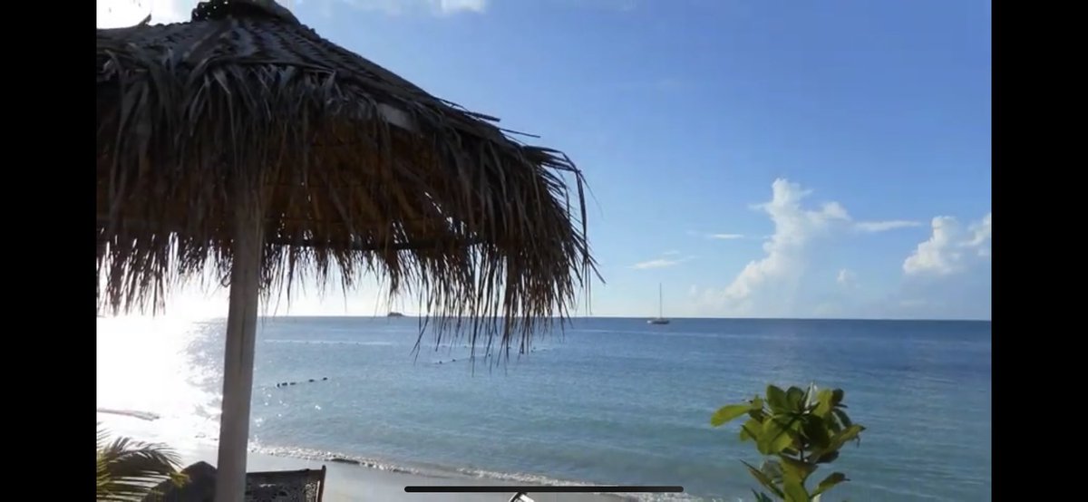 JoyofCreation2's tweet photo. Soothing Scenic Beach Sea Caribbean Relaxation in HD Sleep Study Meditat... https://t.co/uFZJN0sBpV via @YouTube https://t.co/pIIc3Ux0lw