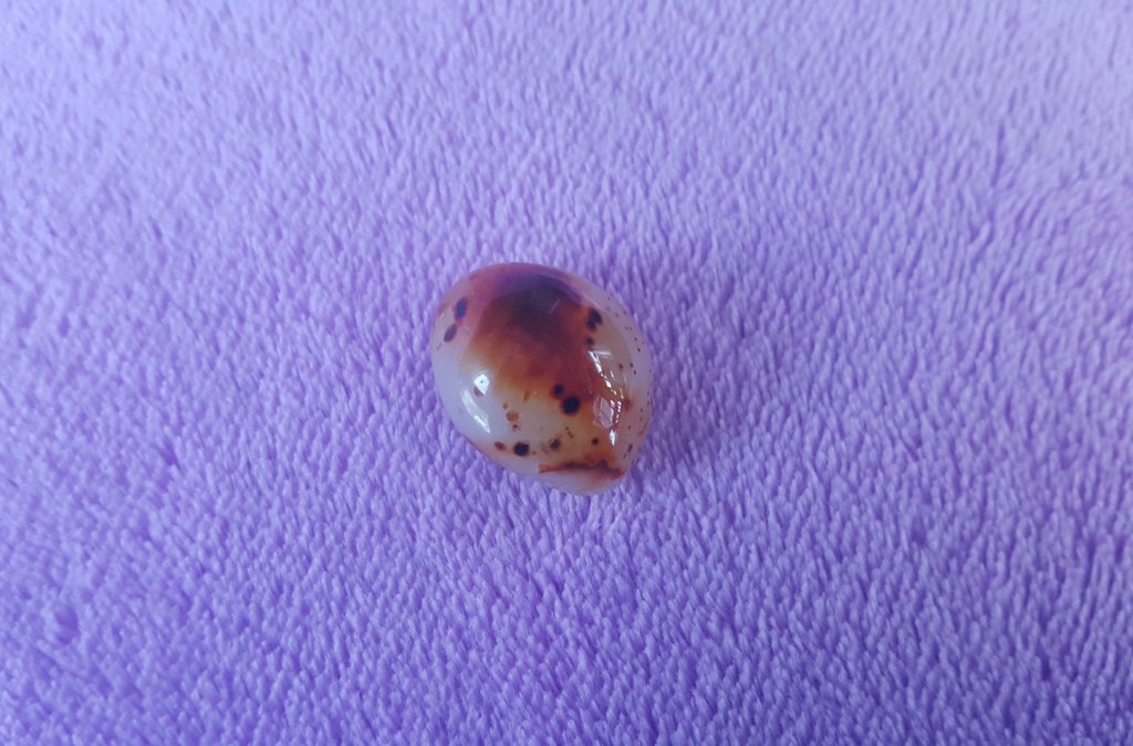 ☆ FEL!X ☆》pretty af!! just existing lookin like that》 freckly boy