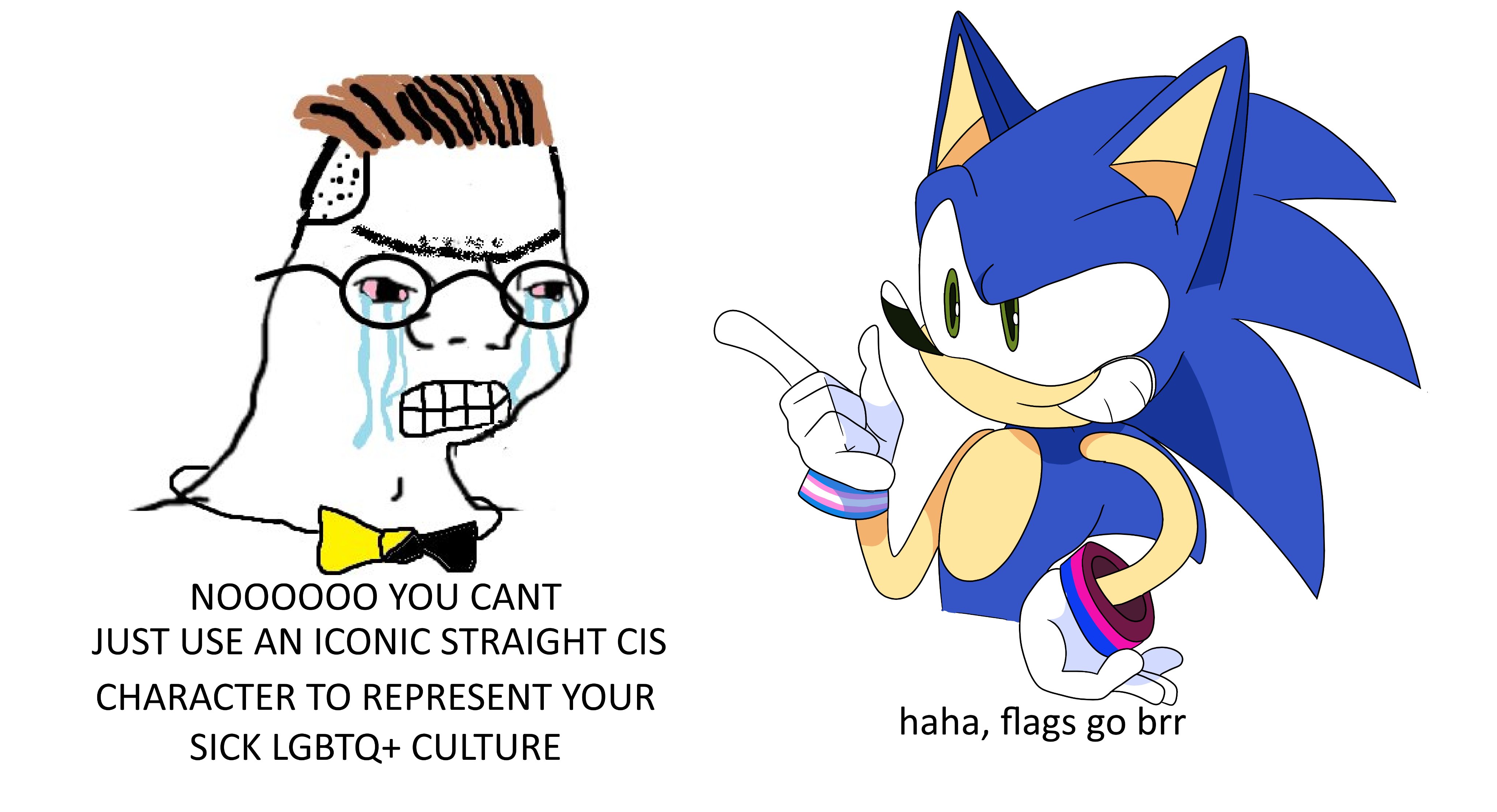 Why do so many people insist Sonic is trans? As a trans person