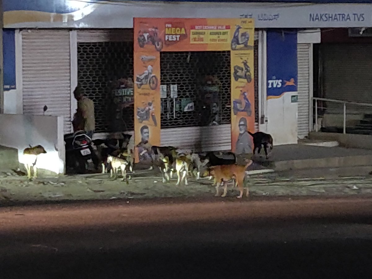 Problem of stray dogs is day by day increasing on #ThanisandraMainRoad