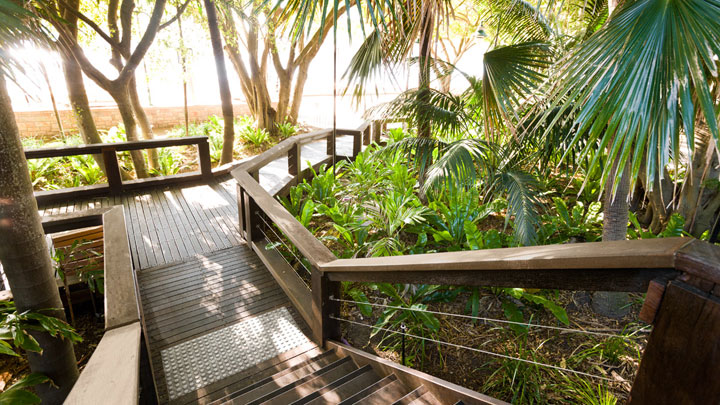 Rainforest Green/Rainforest Walk in Southbank