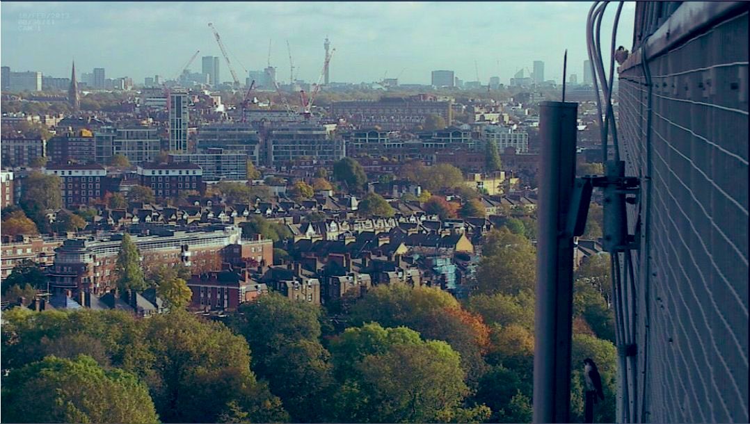 I often wondered about their aerial world and the view they must have. You get a glimpse from this angle (mother and son both in the shot) 8/14