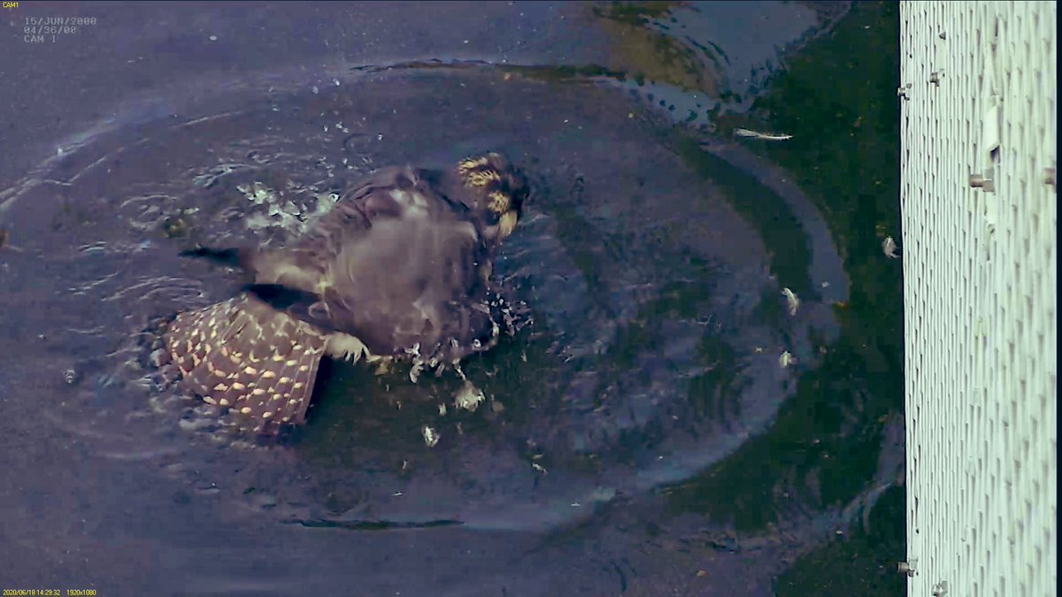 Like the rest of us, Jack learned about regular washing, but he did his in his infinity pool on top of the hospital 7/14