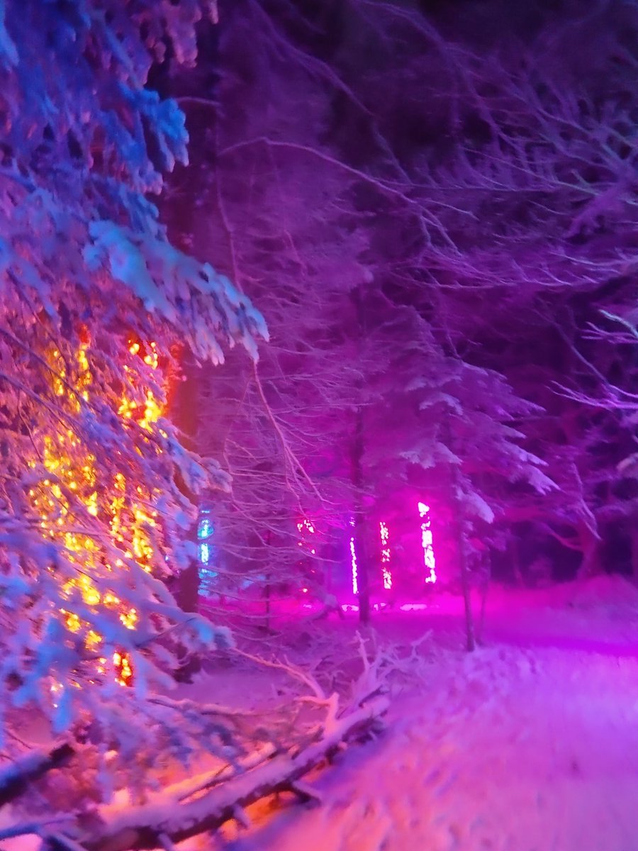 Wild Lights last night! Amazing!