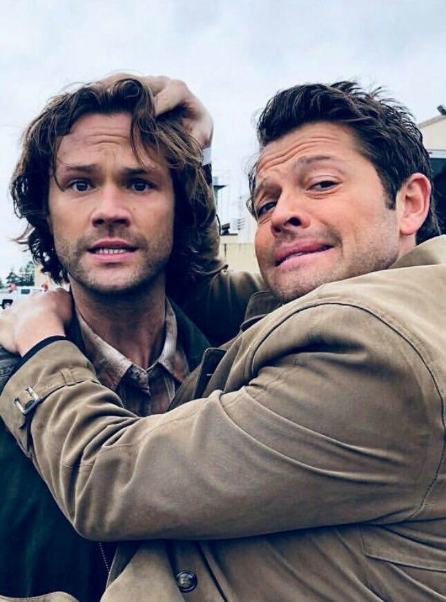 ،  :misha collins as giraffe; a thread