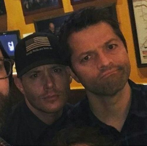 ،  :misha collins as giraffe; a thread