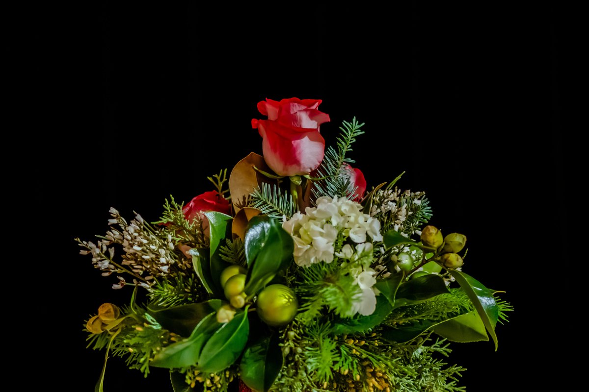 UTPremierEvents's tweet photo. Christmas may be over, but our festive floral masterpieces last all season and through the New Year! Every time we get a glimpse of one of these beauties, it makes us smile! 

What do you think?

#ChristmasFloral #HolidayArrangement #FestiveFloral #LocalSLCFlorist https://t.co/2jjtOOsAey