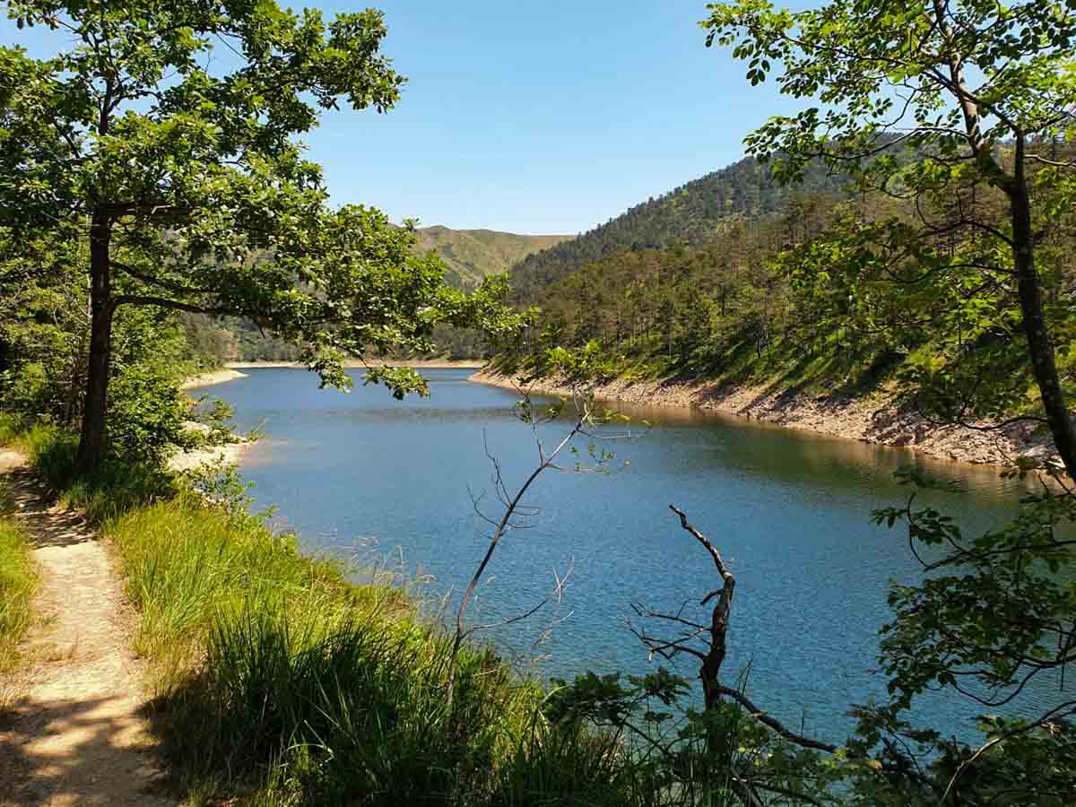 Monica B. tweet media