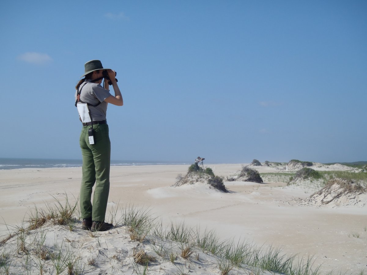 Join our seasonal Avian Monitoring Team! The primary focus of this position will be related to a breeding populations of federally listed threatened shorebird species. This position closes on January 7, 2021, so get your application in today! usajobs.gov/GetJob/ViewDet…