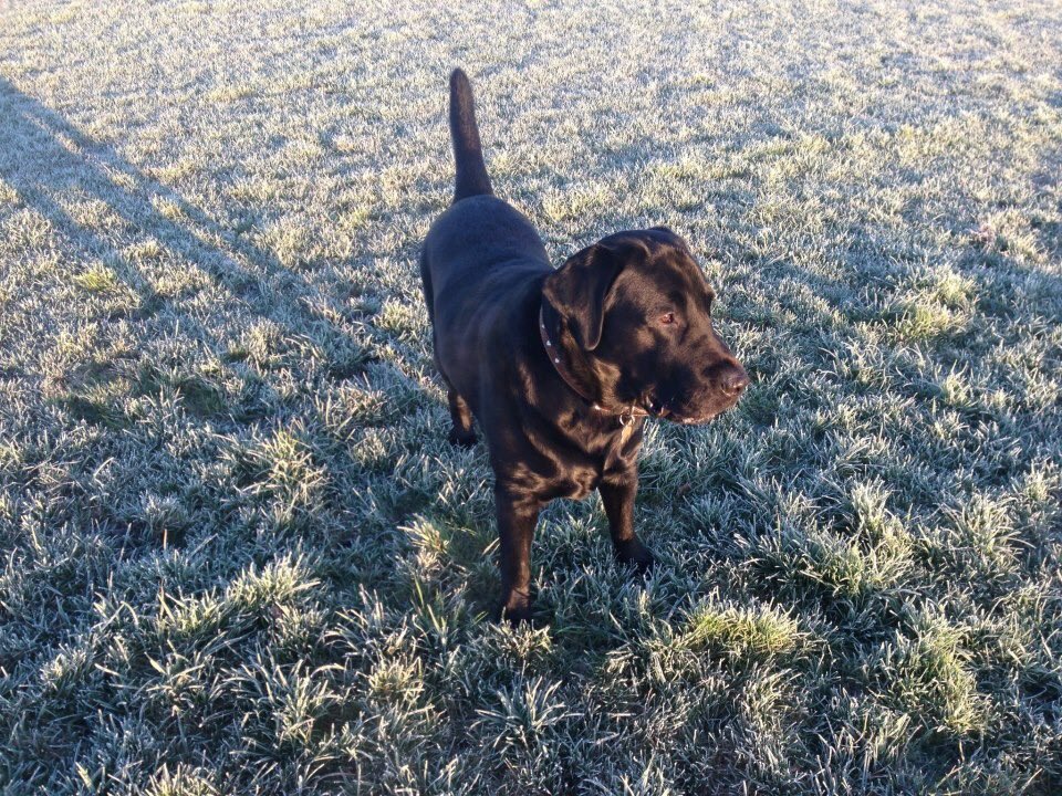 Stephen Parker tweet media