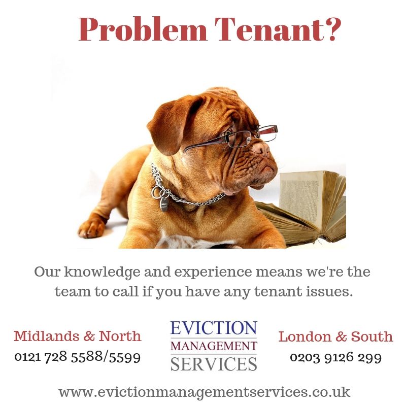 EvictionHelper's tweet image. #problemtenant #tenanteviction #evictatenant #evictionservice