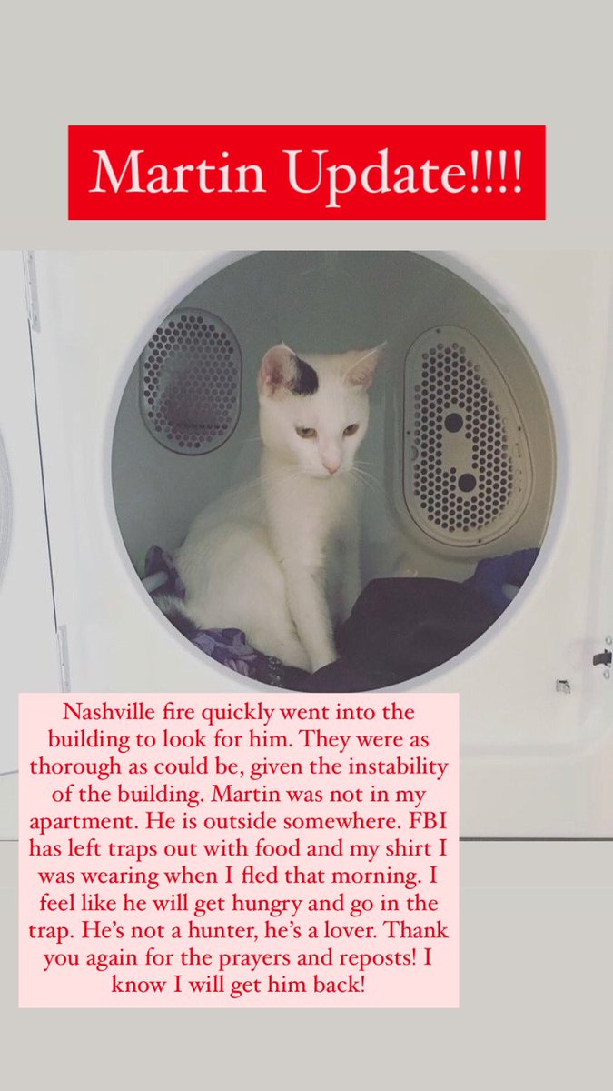 Here’s the latest on Martin, the cat.