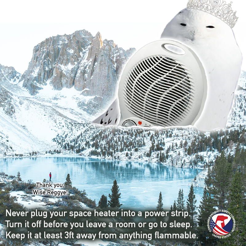 An owl in the mountains guarding a space heater. The text reads: Never plug your space heater into a power strip. Turn it off before you leave a room or go to sleep. Keep it at least 3ft away from anything flammable.