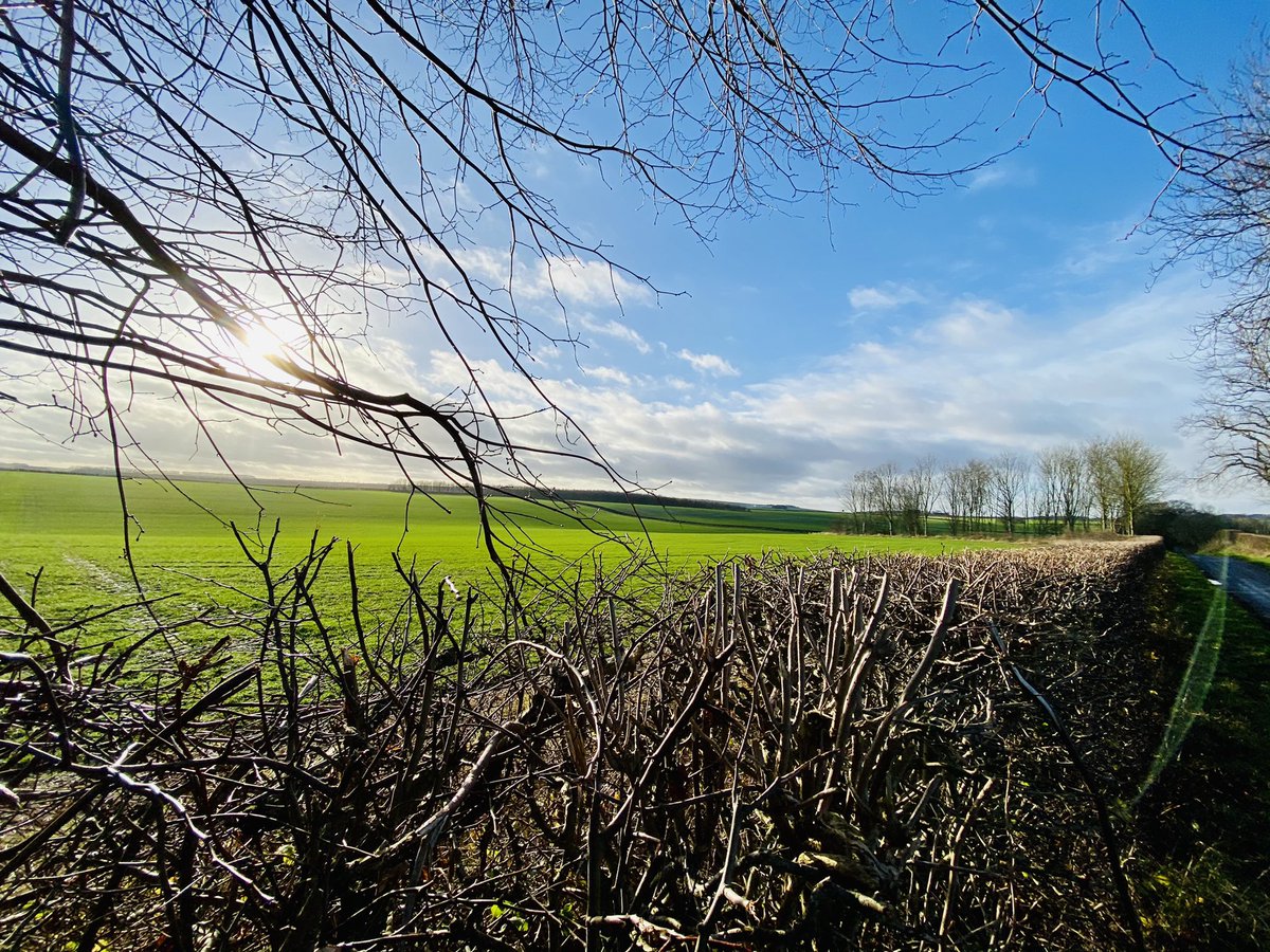 helengibson1's tweet photo. Walking in a #WinterWonderland. #Sunshine #BigSkies #Nature #HeavenlyViews #SpaceToBreathe #MuddyBoots #GetOutside #OneStepAtATime #EveryStepCounts #Hotham #Brantingham #SouthDalton #EastYorkshire #YorkshireLife #GreatOutdoors 🥾🥾🎄🌟❄️♥️ https://t.co/QKBnAHgFnt