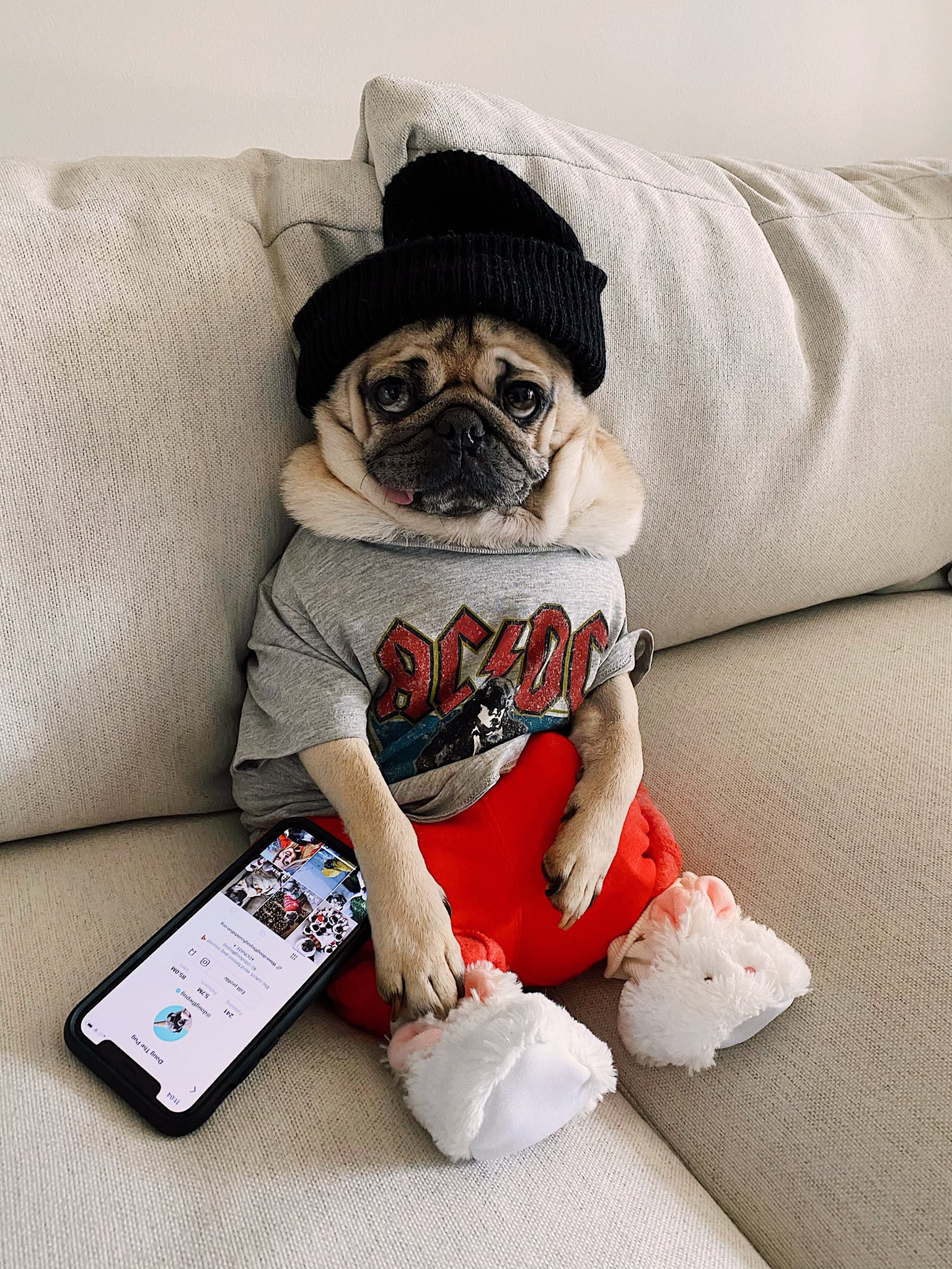 Pug lazy hotsell