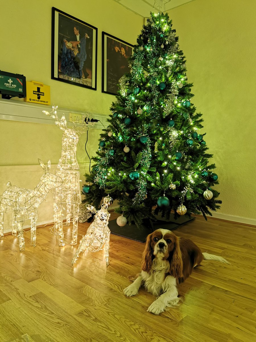 TopLine_Dance's tweet image. Would love to win #SBS, especially as I didn't manage to secure DD investment back in 2012 - so here goes... Topline Frame used by 2019 and 2020 Strictly winners... see what you missed Theo? 😊