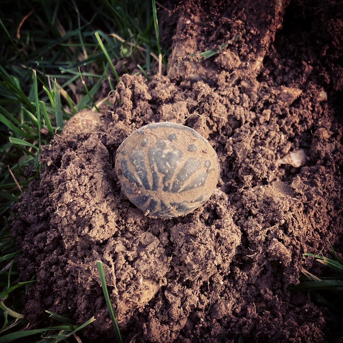 foundbysound's tweet image. Some of my fave finds from this year, as well as a nice crotal bell found today circa 16th century, and a commonwealth silver hammered penny again found today circa 1650.
