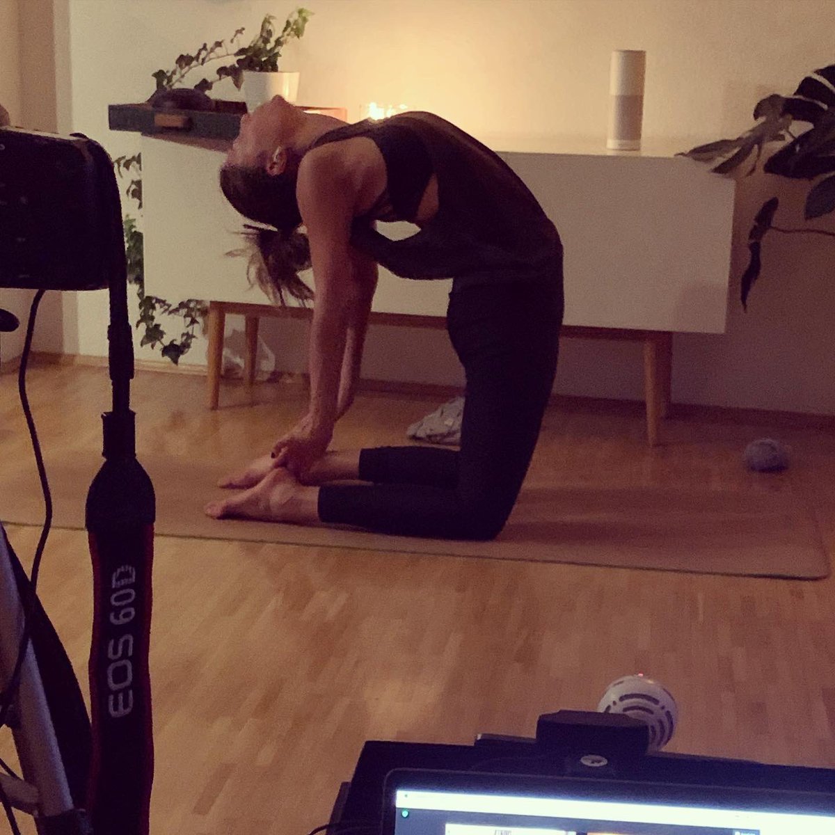 Sophia Roediger tweet media