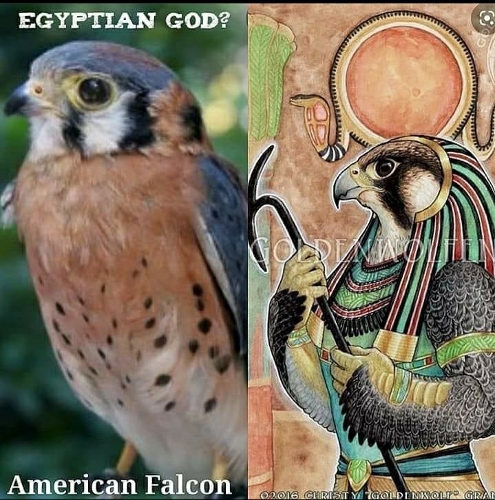 Egypt was set up in america before the great flood to persevere the knowledge from the coming disaster. After the flood and the sinking of that land a colony was set up over on the continent of Ethiopia to disperse that knowledge back to the rest of the world. Ham and cush