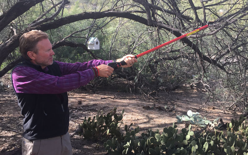 GardenJunkie1's tweet image. This pruner ensured that I could reach the tree that I wanted to prune...without having to step into the prickly pear cactus! See the other benefits of this @coronatools stick pruner at the link!  bit.ly/2Goj60v gpreview #coronatools #stickpruner #pruningtools