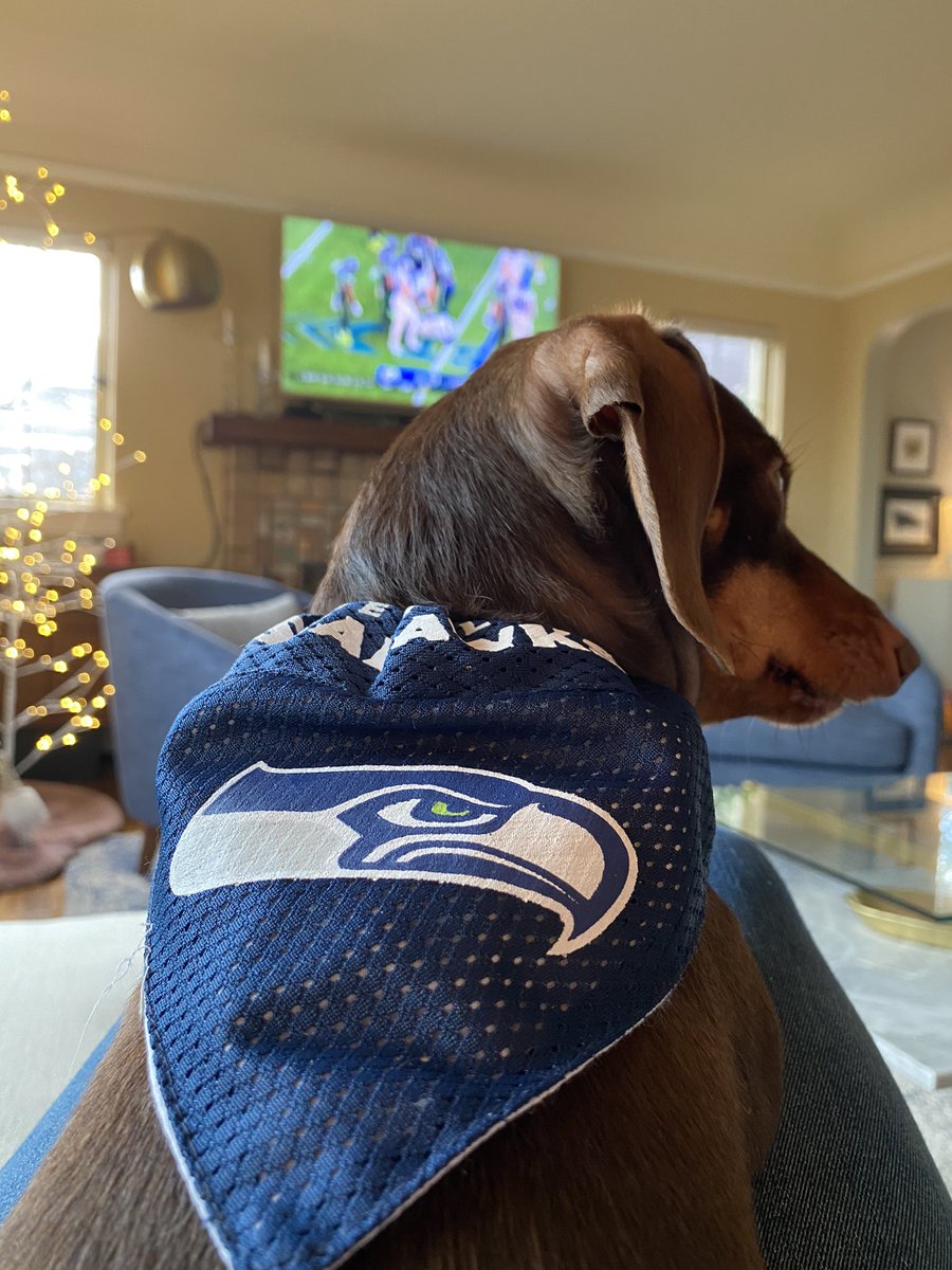 cortneyetc's tweet photo. @Seahawks let’s go!! https://t.co/qbSv76aVjn
