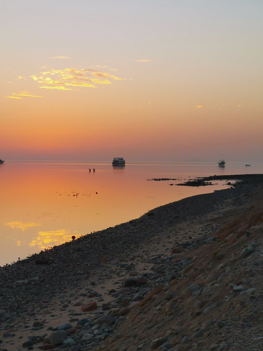 شرماء (نيوم)
