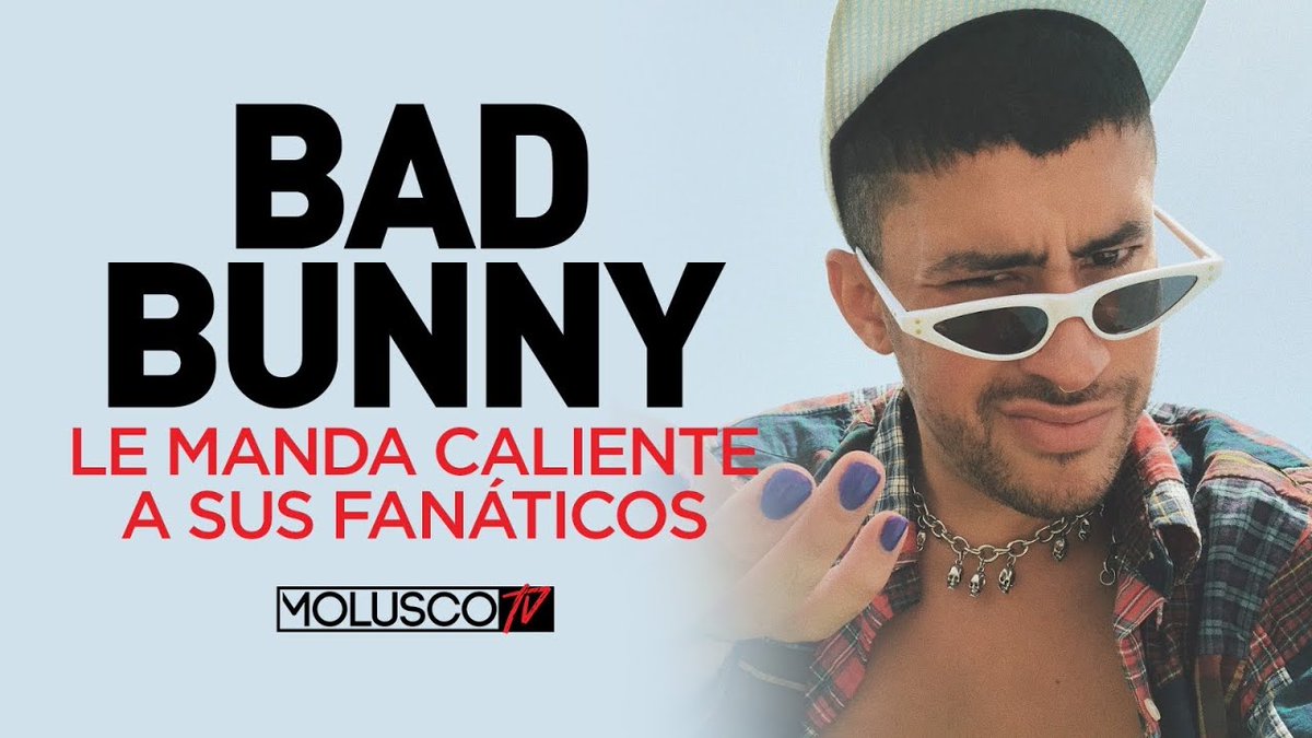 Bunny manda FUEGO a sus fanáticos y se enciende #ElPalabreo 🔥🍿 dlvr.it/RpRjwt