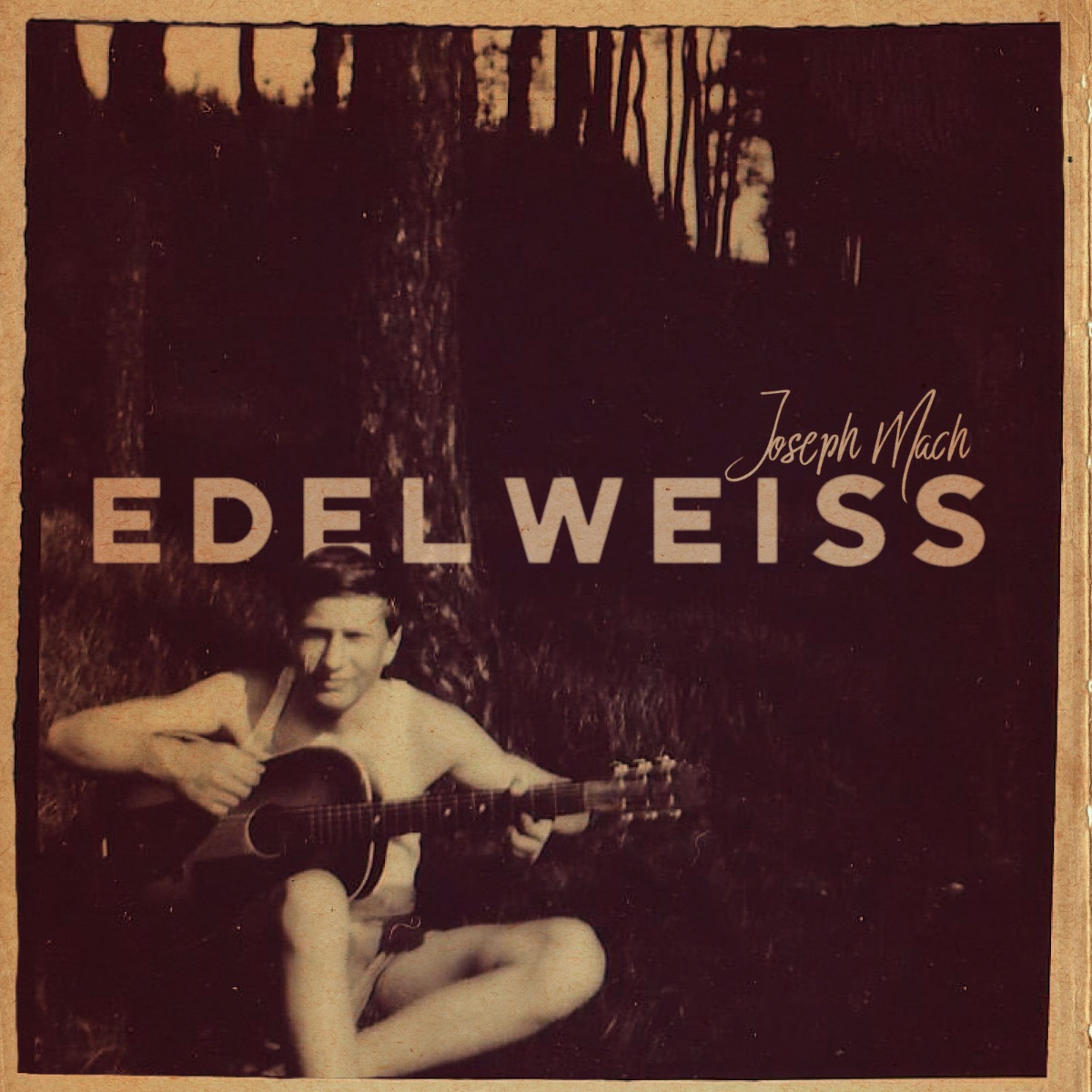 TheJoeMach tweet media