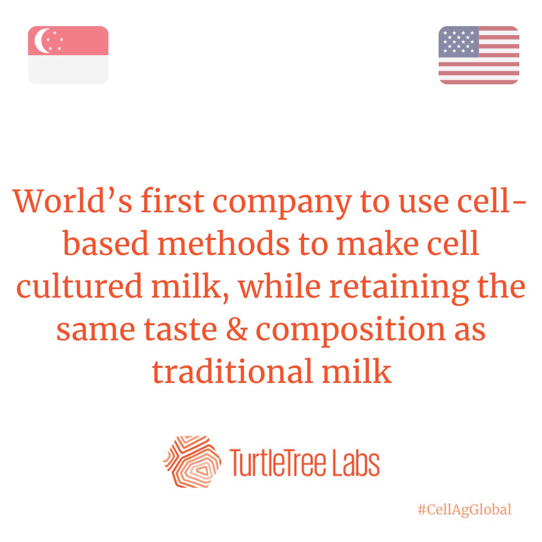 CellAgAustralia's tweet photo. Do you โjust want milk that tastes like real milkโ? TurtleTree Labs is stepping up to the challenge as pioneers in cell-based milk! ๐ฅ๐
Read more ๐ https://t.co/1HgiT87fUM
@turtletreelabs @lfrjoan @officialMaxRye #CellAgGlobal #CellAg #FutureFood #Biotech #Singapore #Altdairy https://t.co/ivfefcV2oH