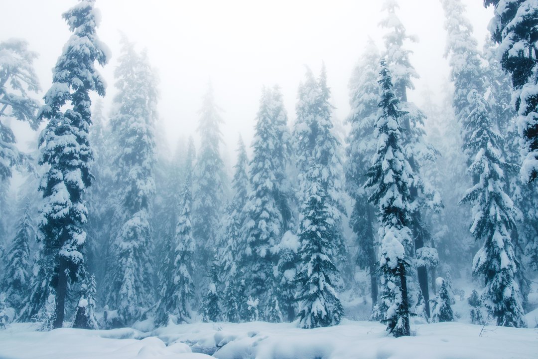 _stablemate's tweet image. Tell me again you've been through worse 
As harmonies fade
To sound the same 
I lift away as the river burns 
Still are the waves 
Nothing has changed 

I bet for you it's blurry too 
Oh Marceline, you're forgetting 

Tell me again what you have learned 
I've got little to give