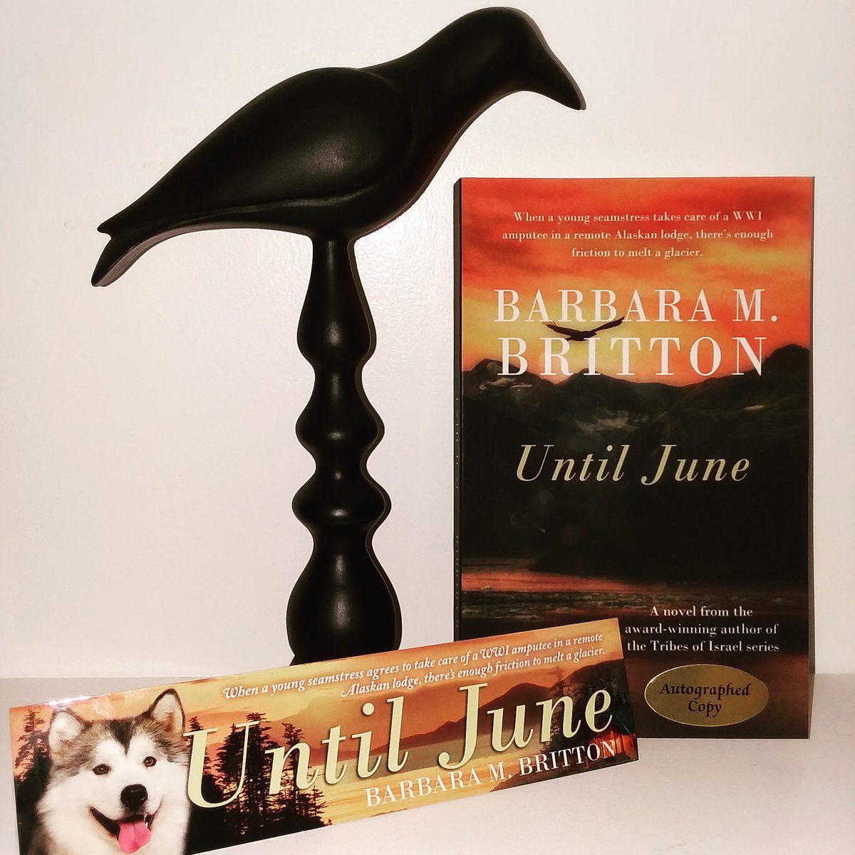 WickWrites's tweet photo. This #historicalfiction was inspired by the author's trip to #Alaska.🌎
✔strong character arcs
✔a thread of romance
✔clever #metafiction element
Set in 1918-1919, the characters also dodge influenza. Phew!😏
Thank you @BarbaraMBritton!💌
#untilJune @PelicanBookGrp https://t.co/qMIHtJGpZT