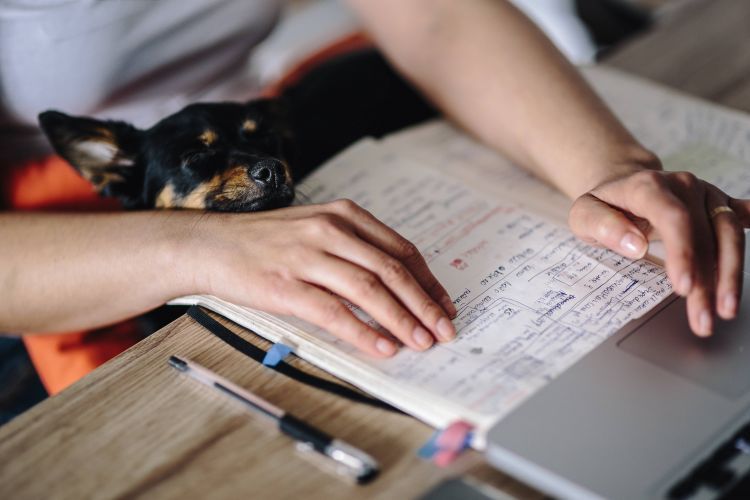 Do you know where to start your 2021 business plan?  Schedule a free consultation to start the year off with the right plan. #businessstrategy #Melbourne #businessplan #freeconsultation
buff.ly/2Un7uyj