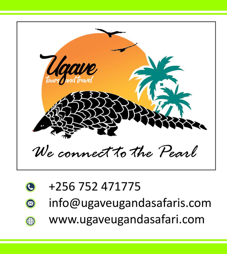 UgaveTours's tweet photo. @SamsonKasumba #Ugavetoursandtravels
#Weconnectyoutothepearl
#churchhouselevel7roomA2 https://t.co/3Euaq092DL