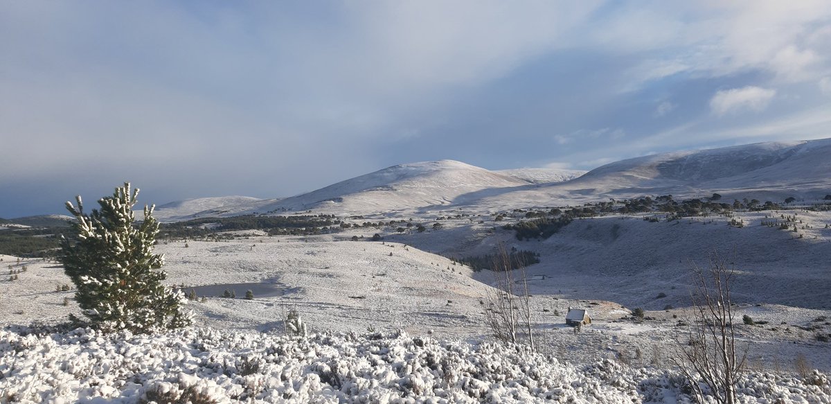 Sallyaviebikes's tweet photo. Needed that!! ❄🏃♀️ #aviemore #windblasted #winter https://t.co/IYeSEcjABr