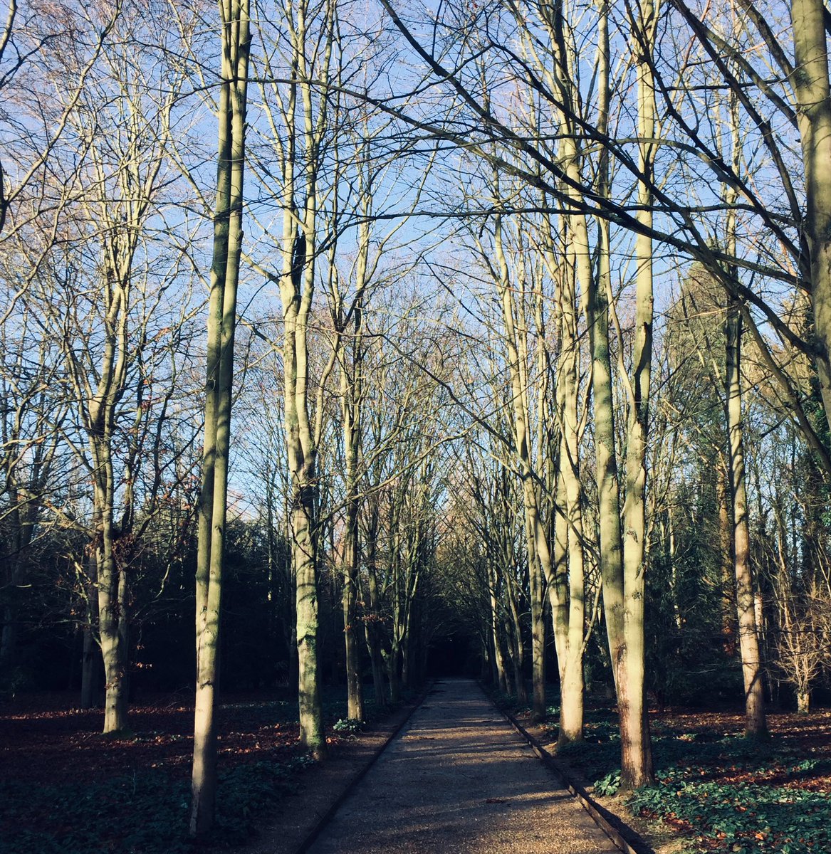 rwoman11's tweet photo. A Sunday like many for 2020 weekends... @AngleseyAbbeyNT and #lodemill @nationaltrust @East_England_NT https://t.co/5GTqkMpkgs