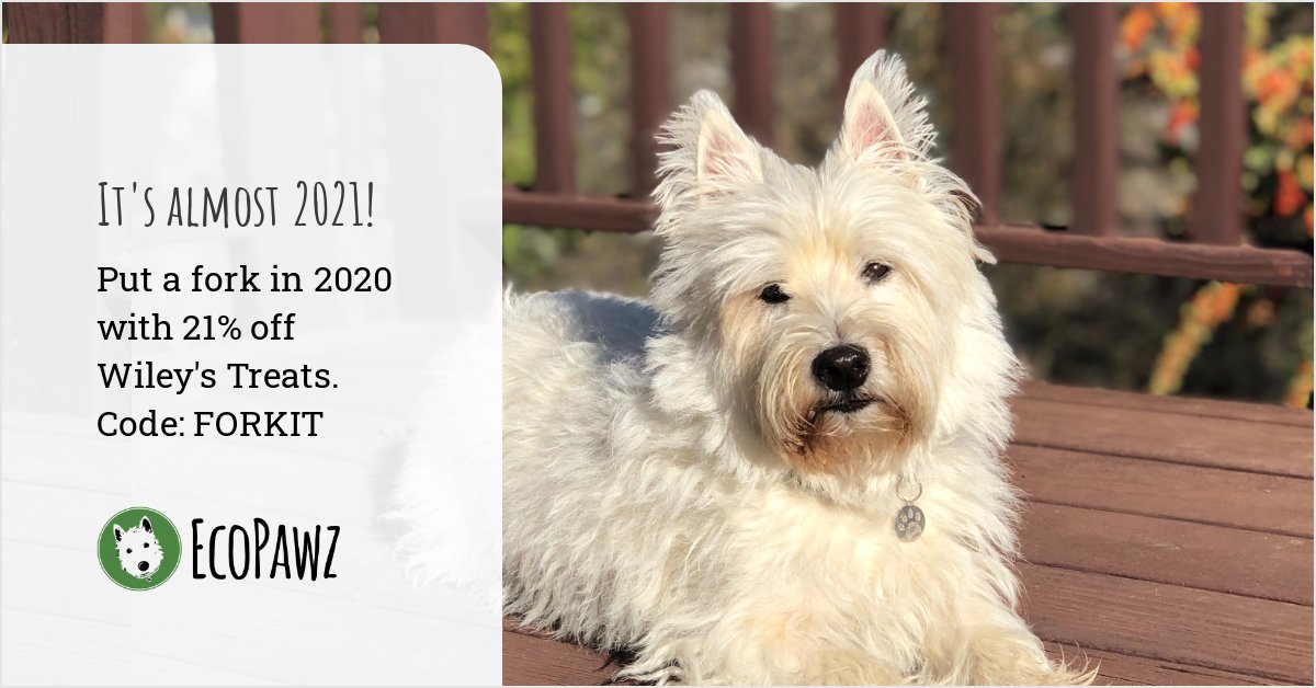 Wiley's relaxing on the last Sunday of 2020. Put a fork in this year with 21% off Wiley's Treats. Code: FORKIT (online only through 12/31/20) #WileysTreats #EcoPawz #dogs #dogsoftwitter #westies #terriers
