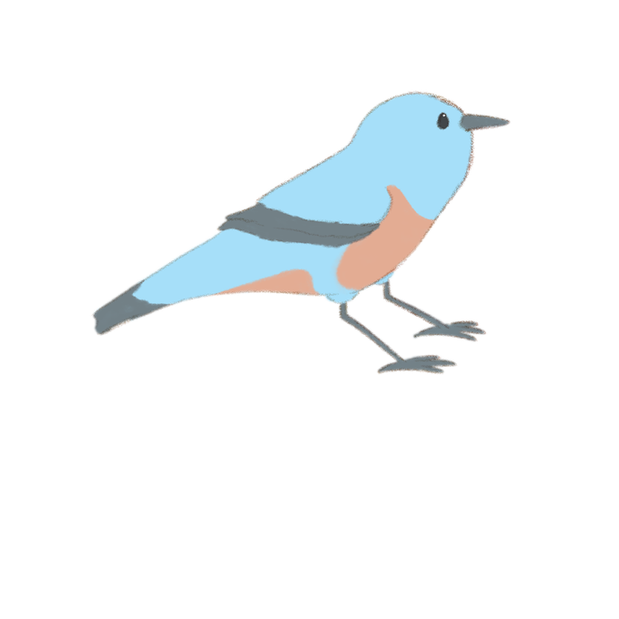 イソヒヨドリのtwitterイラスト検索結果 イソヒヨドリのtwitterイラスト検索結果