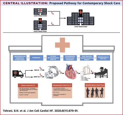  IC aguda Shock cardiogénico Revisión  @ESC_Journals  doi: 10.1002/ejhf.1922Revisión  @JACCJournals doi/10.1016/j.jchf.2020.09.005