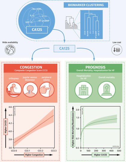 Congestión: valoraciónCA125  @JACCJournals  CA125 se asocia: congestión  o compuesto  y  IC  10.1016/j.jchf.2019.12.005 Valoración por eco  @ESC_Journals Cardiaca, pulmonar, renal y yugular. 10.1002/ejhf.2032
