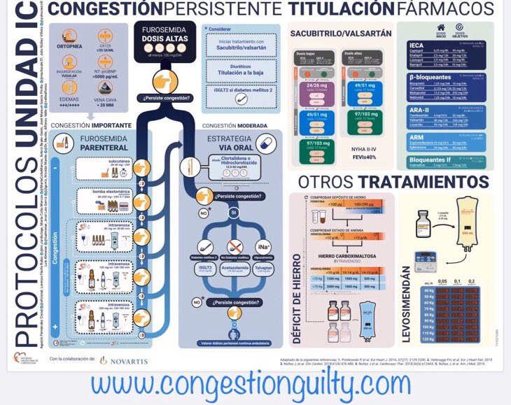 Congestión: manejo  Protocolo para el manejo de la congestión persistente  @IcUnidad  http://congestionguilty.com&nbsp; Revisión  @NatRevCardiol  10.1038/s41569-020-0379-7